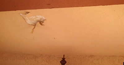 Loose Drywall Tape and Peeling Repair