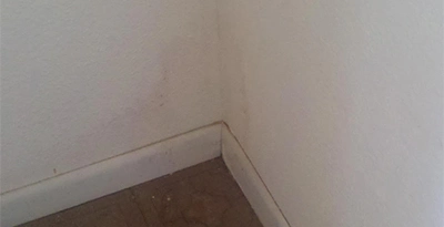 Water Damage Assessment and Repair