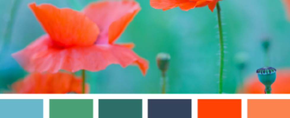 Paint Scheme: Spring Floral Paint Scheme: Spring Floral